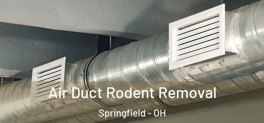  Air Duct Rodent Removal Springfield - OH