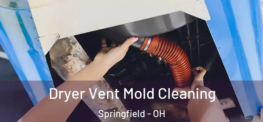  Dryer Vent Mold Cleaning Springfield - OH