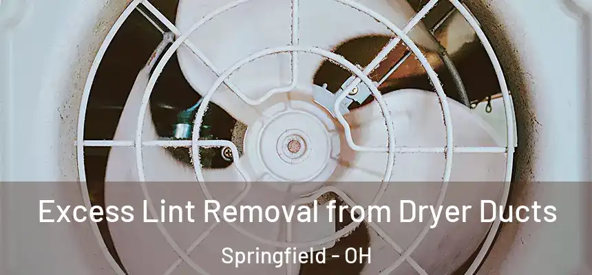  Excess Lint Removal from Dryer Ducts Springfield - OH