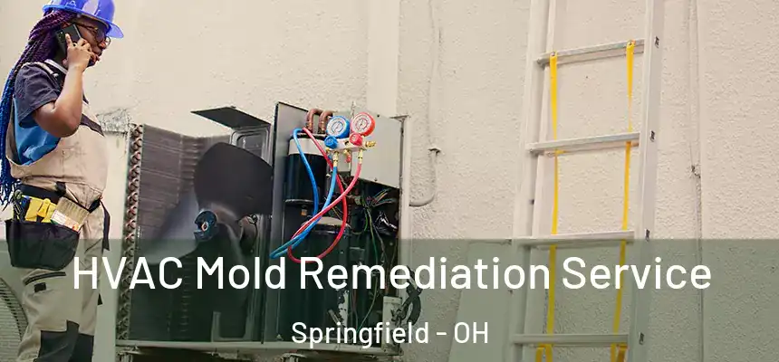  HVAC Mold Remediation Service Springfield - OH