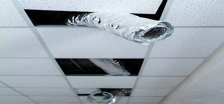 Our Air Duct Pet Hair Removal Services in Springfield, OH