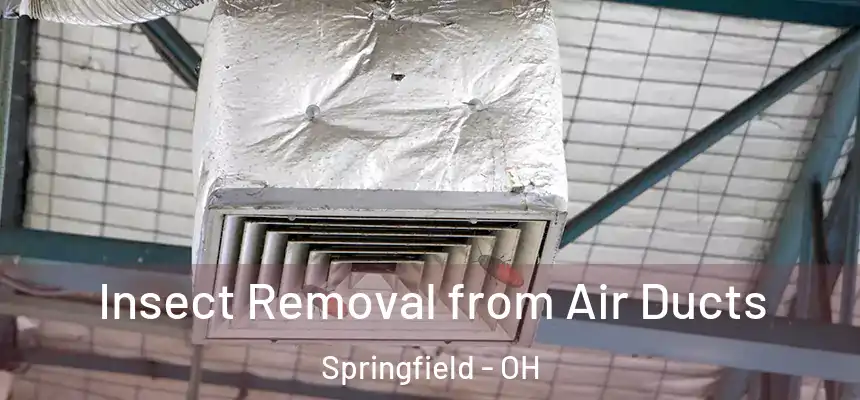  Insect Removal from Air Ducts Springfield - OH