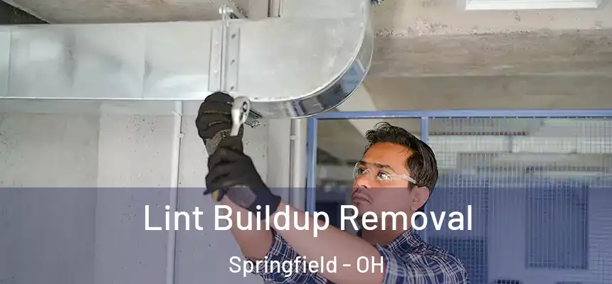  Lint Buildup Removal Springfield - OH