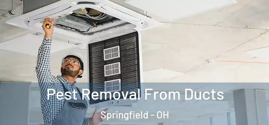  Pest Removal From Ducts Springfield - OH