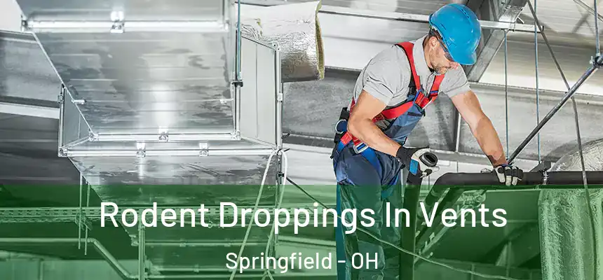  Rodent Droppings In Vents Springfield - OH