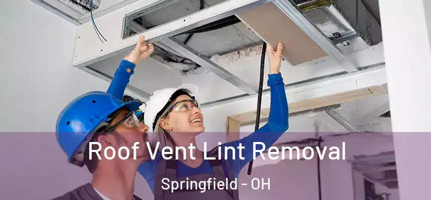  Roof Vent Lint Removal Springfield - OH