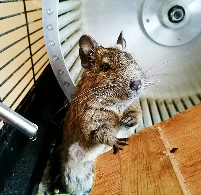 Why Homeowners & Businesses Trust Us Springfield, OH?